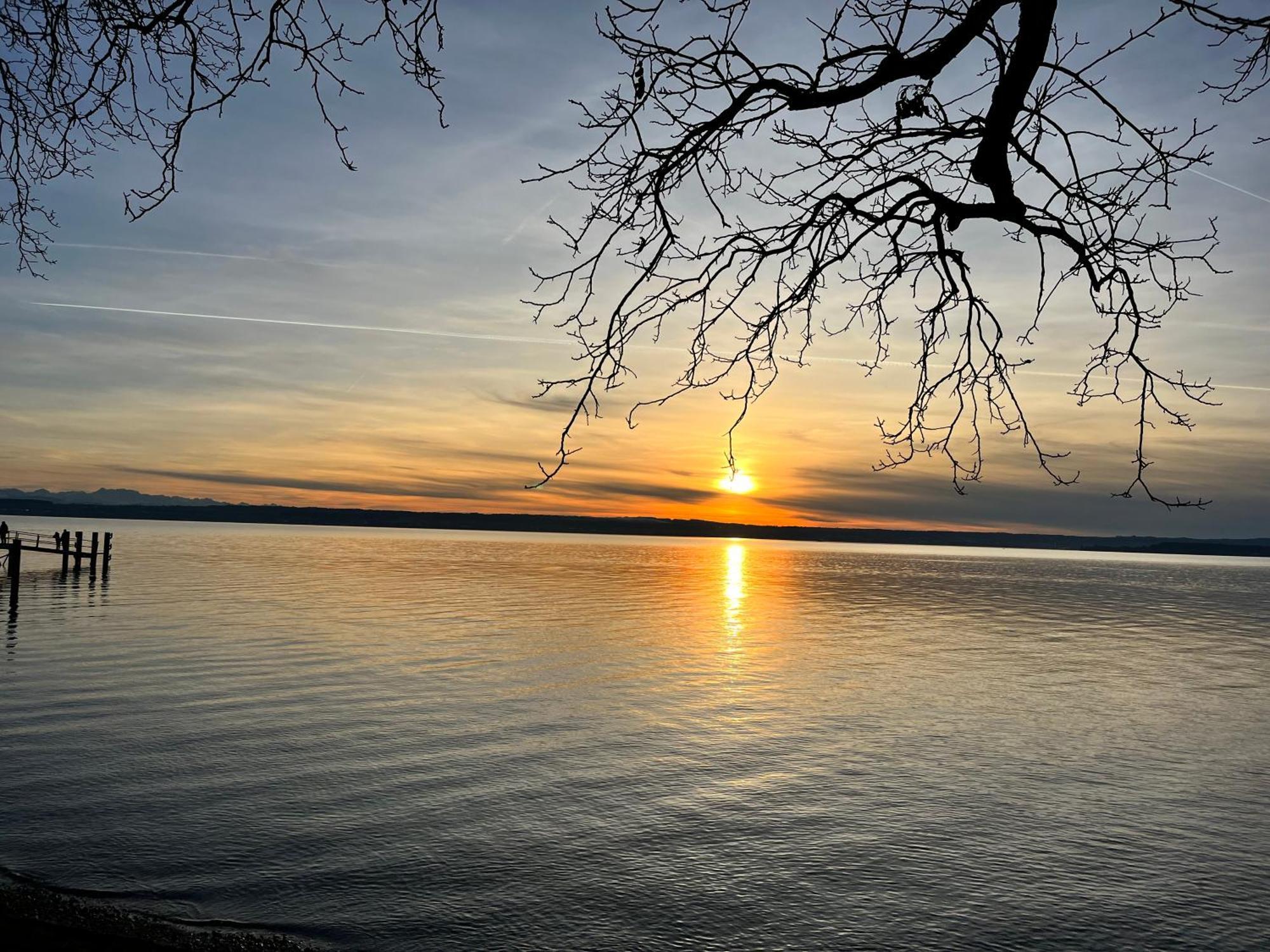Gaestehaus Am Hafen Meersburg Eksteriør billede